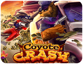 Coyote Crash