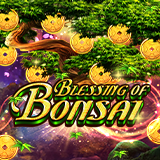 Blessing of Bonsai