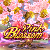 Pink Blossom