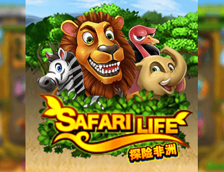 Safari Life