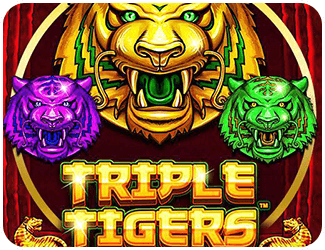 Triple Tigers